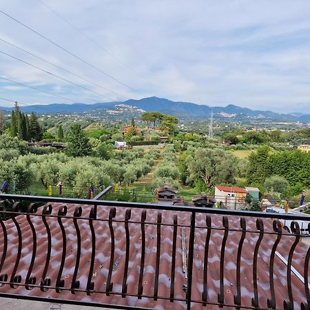 Вилла La Casa Tra Gli Ulivi Di Fonte Nuova 2 Ментана Экстерьер фото